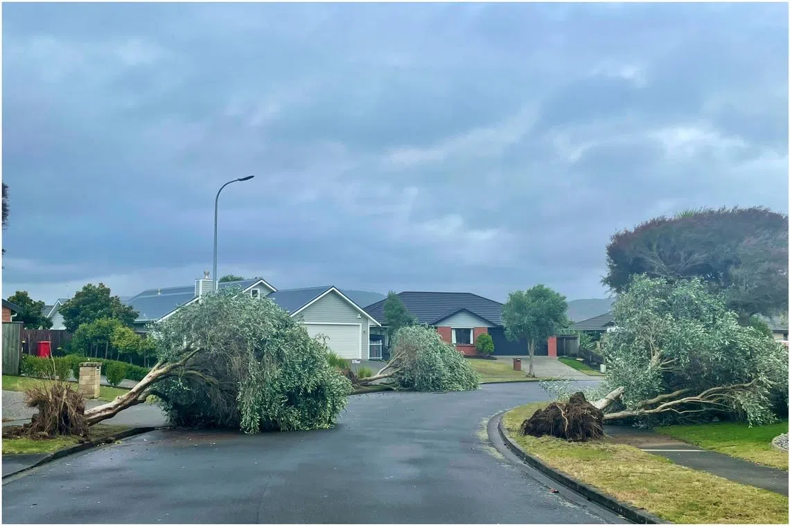 Tornadoes are relatively rare in New Zealand.