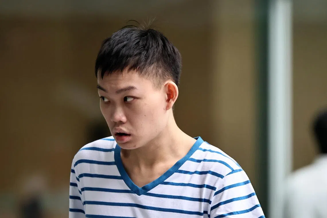 Chua Wang Cheng was sentenced to six months’ jail on Dec 23.