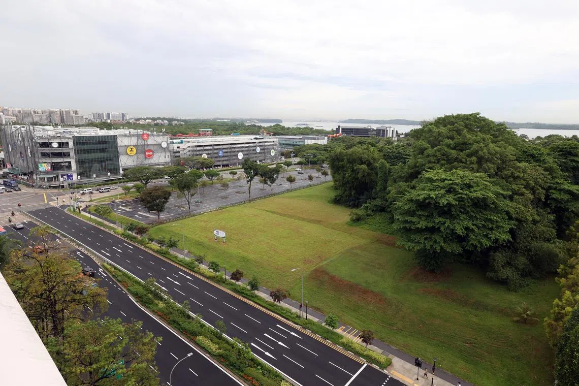 The Jalan Loyang Besar site that can yield 710 ECs drew four bids and a top bid of $557 million.