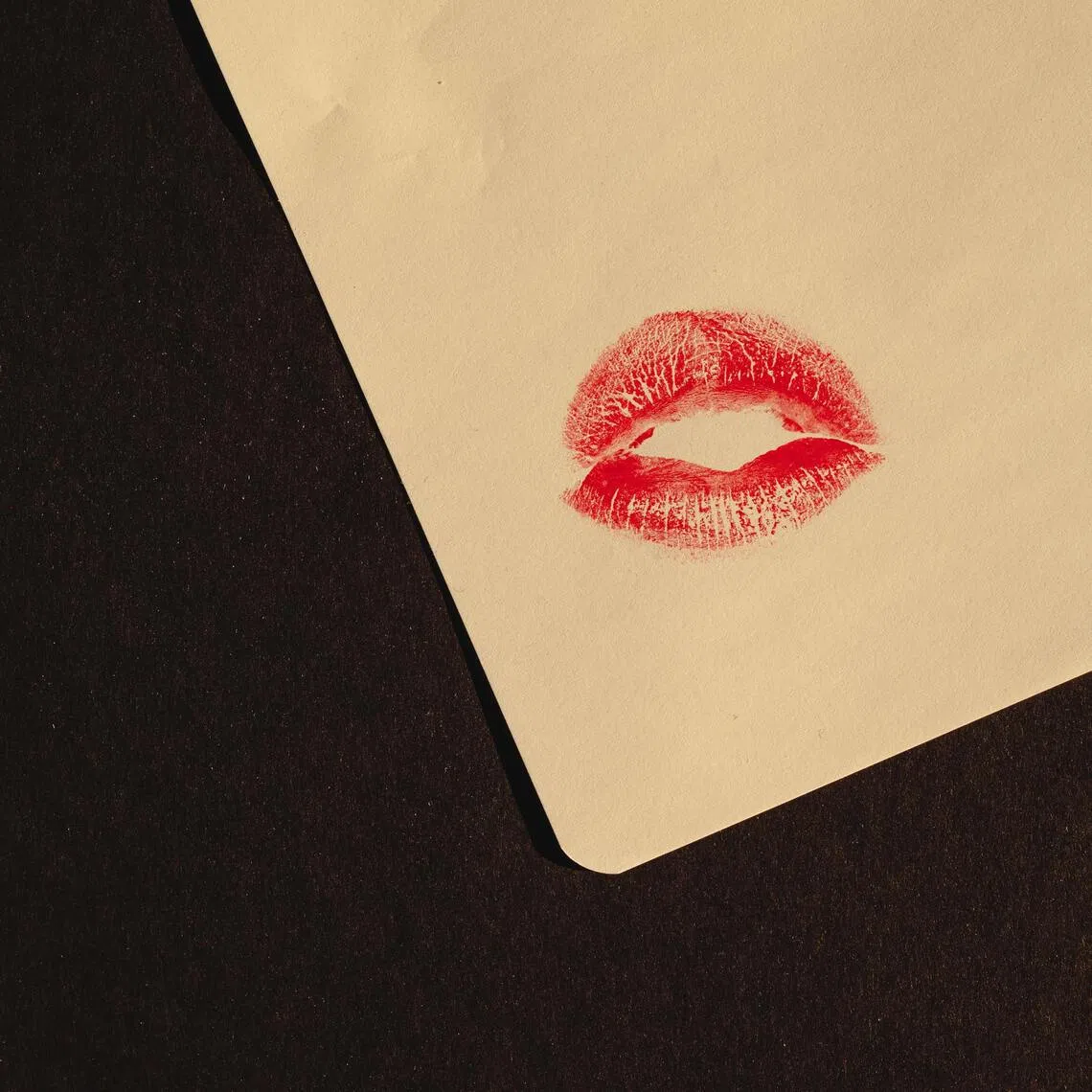 From an evolutionary standpoint kissing has no obvious survival benefit, and could spread disease.