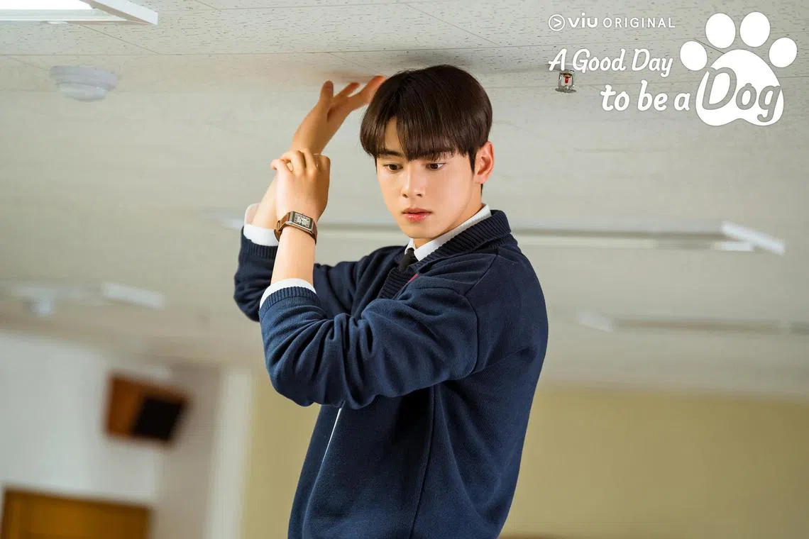 South Korean actor Cha Eun-woo plays a teacher with a phobia of dogs in the new romantic-comedy A Good Day To Be A Dog. 