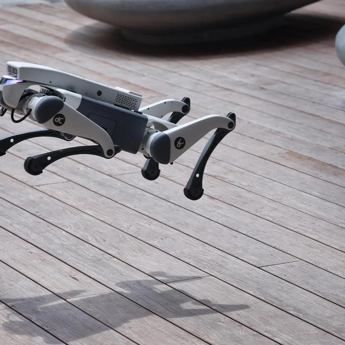 ST20250314_202512200677/ocrobot14/Osmond Chia/Jason Quah A quadrupedal 'dog' robot jumps at RoboSG! 2025 at Punggol Digital District on March 14, 2025. ST PHOTO: JASON QUAH