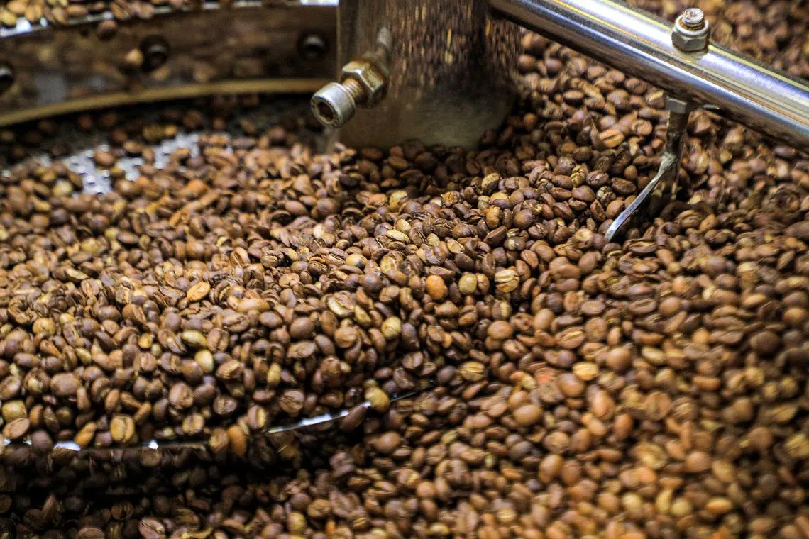 Coffee grains roast in a machine at a speciality coffee shop in Yemen's Huthi-held capital Sanaa on July 18, 2023. Tucked amid shell-pocked buildings and roadside tributes to fallen fighters, a less obvious byproduct of wartime is spreading across Yemen's capital: specialty coffee houses serving steaming cups of top-rated pour-over. The Arabian Peninsula's most impoverished country, locked in an eight-year conflict between Iran-backed Huthi rebels and forces supporting the internationally recognised government, has deep ties to coffee. (Photo by MOHAMMED HUWAIS / AFP)