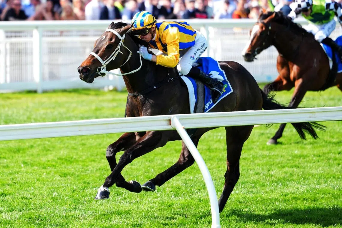 Blind Raise - Blind Raise (Blake Shinn) winning the Group 3 Caulfield Guineas Prelude (1,400m) on Sept 19.

PHOTO: SKY RACING
