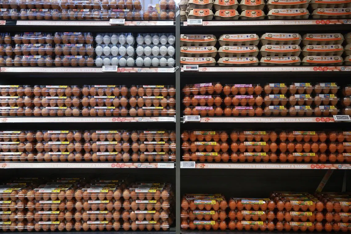 Around two-thirds of Singapore’s eggs are imported, with the vast majority coming from Malaysia.
