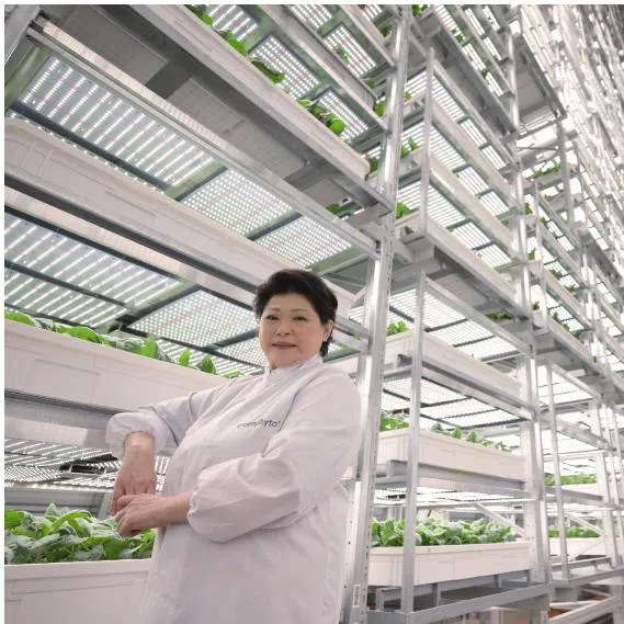 Greenphyto is a fully automated hydroponic farm, powered by artificial intelligence and advanced manufacturing bots.