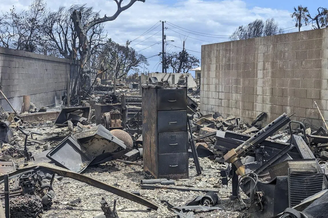 A neighbourhood destroyed by wildfires in Lahaina, on Aug 9, 2023. 
