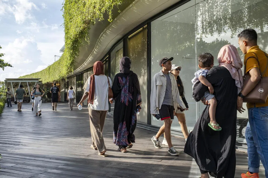 All travel agencies, including those owned by foreigners, will need to join the local tourism association to ensure better management and oversight. 