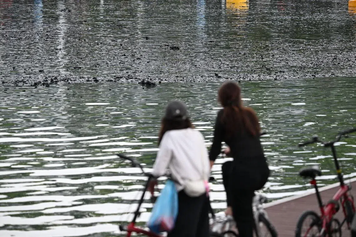 Charred bits from the aftermath of the fire is seen floating on the surface of the water.