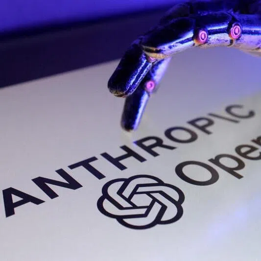 A big question for investors is will AI give rise to a new computing platform that favours a new generation of players  like Anthropic and OpenAI at the expense of established software companies..