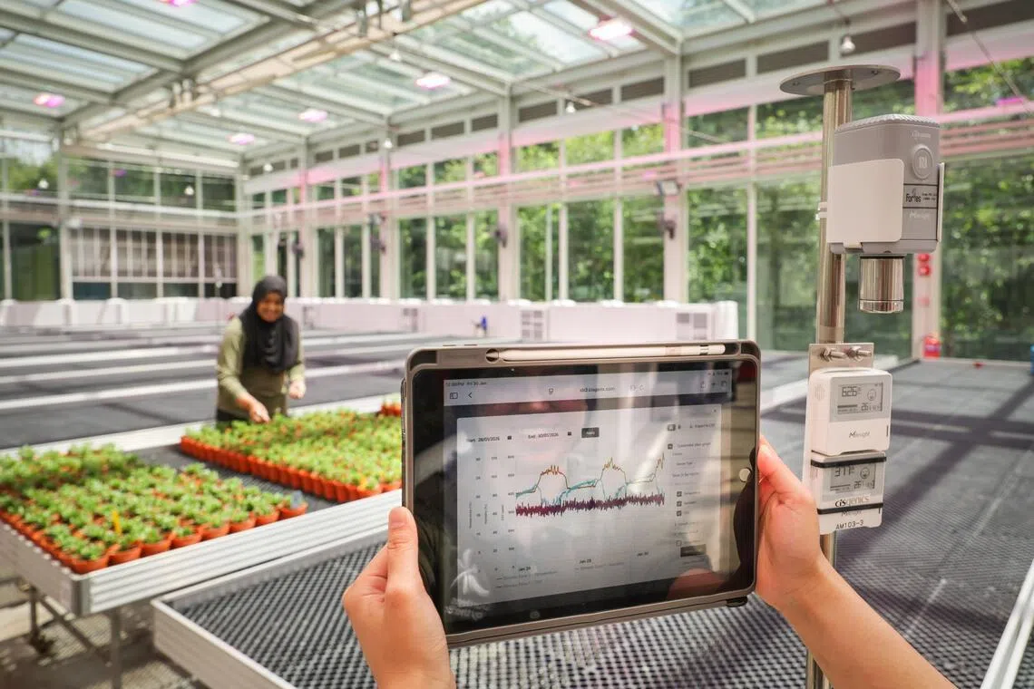 The dashboard of the monitoring system in Gardens by the Bay’s Support Biome that shows current carbon dioxide, humidity, and temperature levels allowing horticulturists to monitor conditions for optimal plant growth.