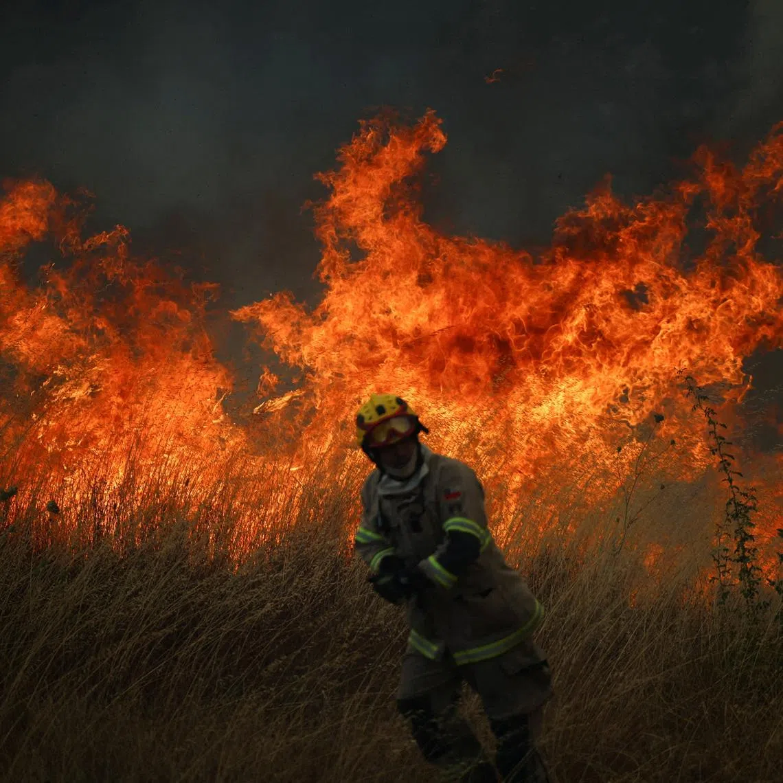 Wildfires tore through the Chilean regions of Biobio and Nuble and the Chubut province in Argentina.