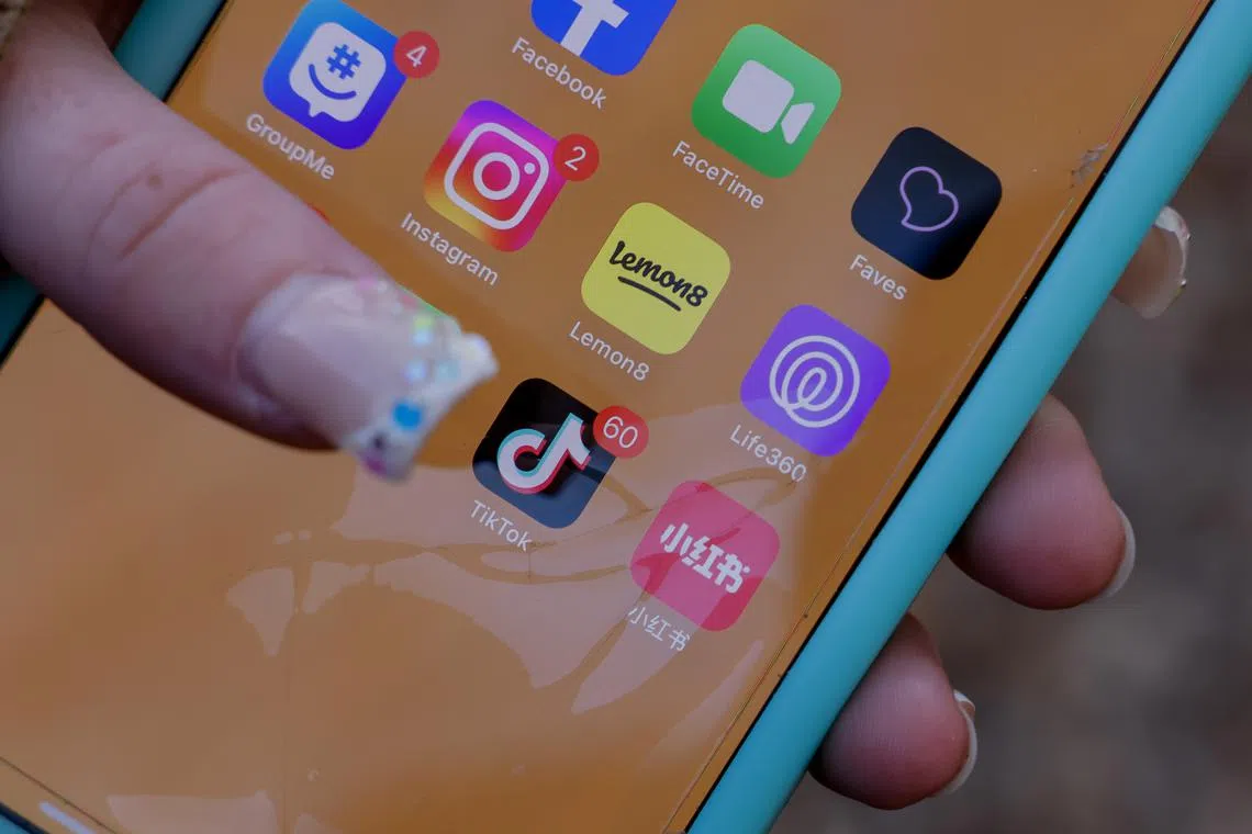 An age-assurance trial to test the technology to enforce the Australian law is starting in January, with the ban set to take effect in a year. 