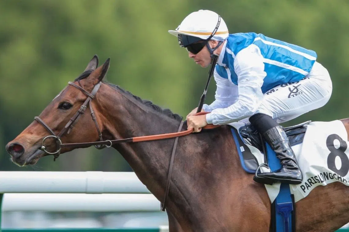 Aventure is one of the collateral damages to the current heat wave sweeping across Europe. Connections have abandoned plans to race in the Group 1 Pretty Polly Stakes (2,000m) at The Curragh in Ireland due to concerns over the hot France-Ireland journey.