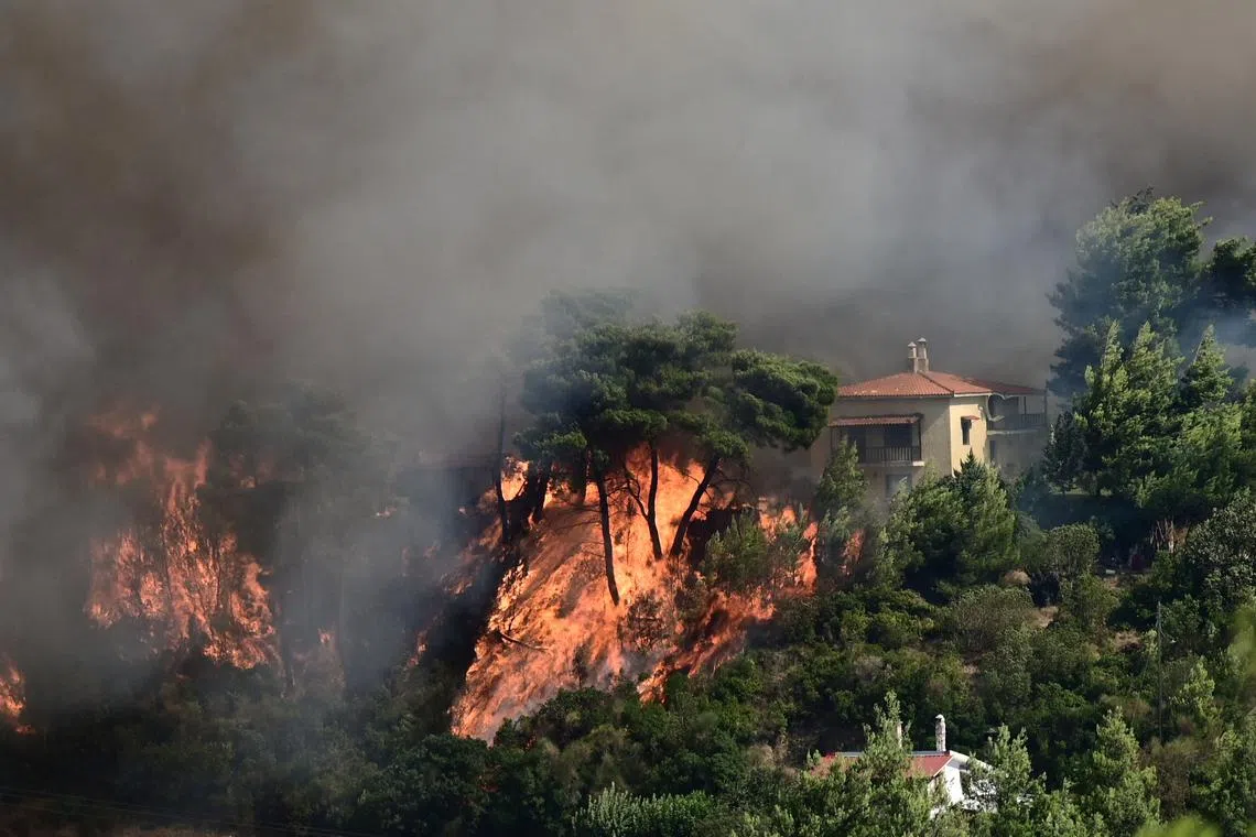 Flames rise next to a house as a wildfire burns in Varnava, near Athens, Greece, on Aug 11.