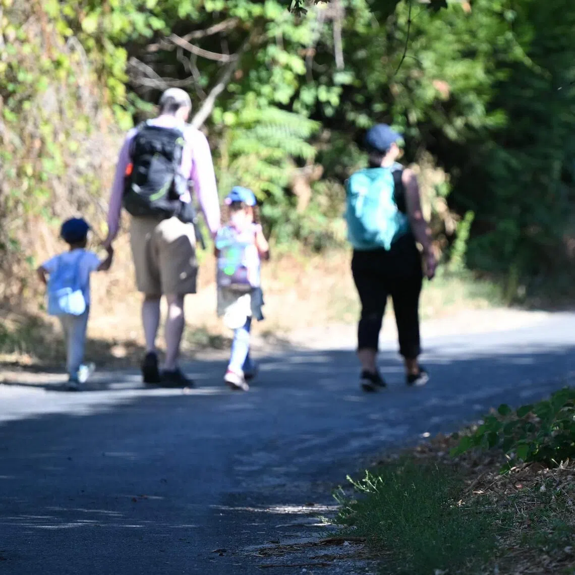 Visitors walk into the Fontainebleau forest from the Fontainebleau Avon rail station, near Avon, in the Paris Ile-de-France region on Aug 22.