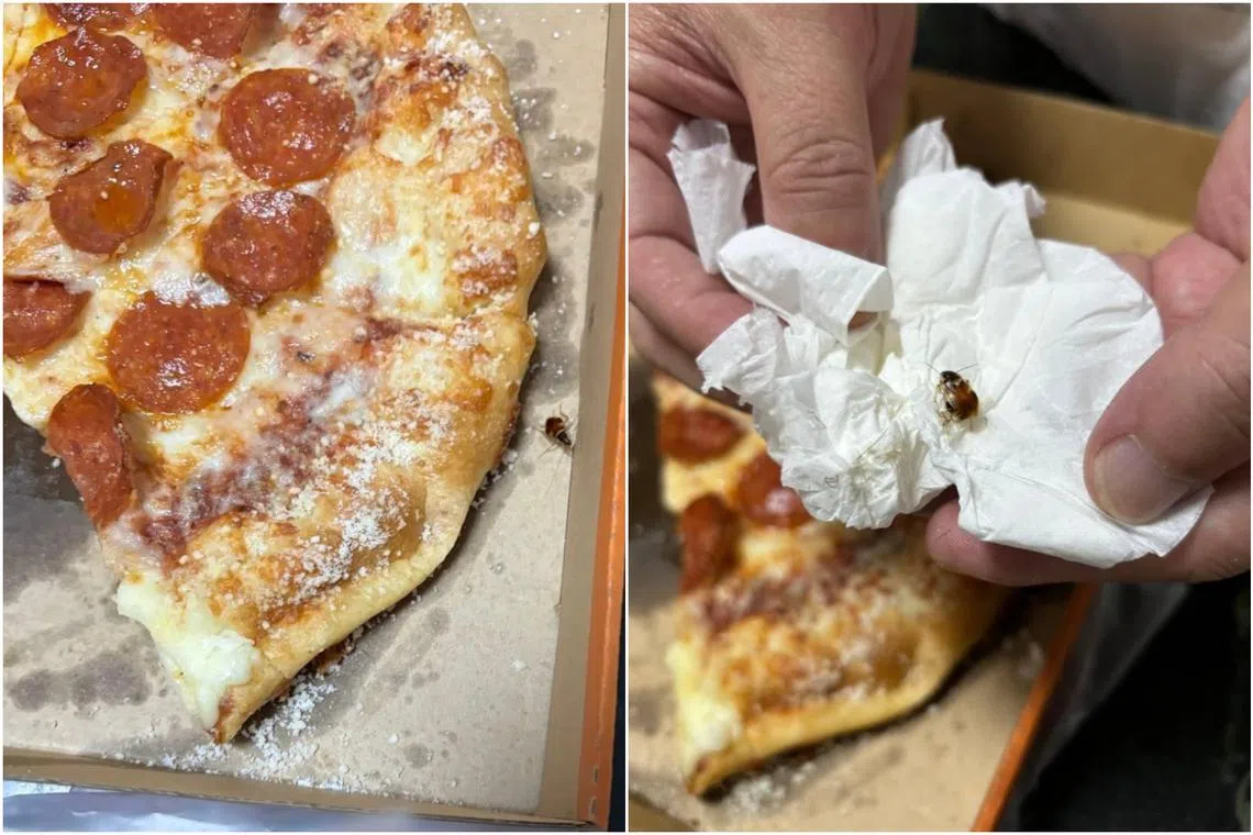 The diner, who said the cockroach was at least 2cm long, has lodged a report with the Singapore Food Agency.