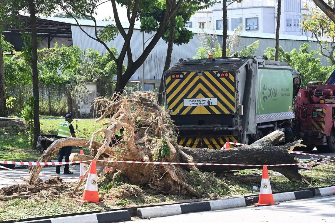 3 workers taken to hospital after garbage truck skids and hits tree in Hougang