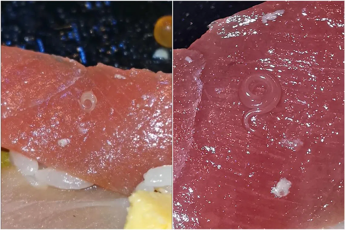 Ms Jayice Tan saw the worm moving in her ready-to-eat meal bought from the outlet in 100 AM mall in Tanjong Pagar on Feb 8.