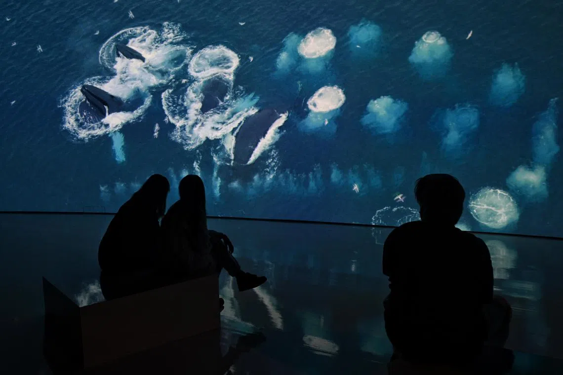 The ArtScience Museum's Sensory Odyssey show relies on the latest technology and science to create an immersive visitor experience 
