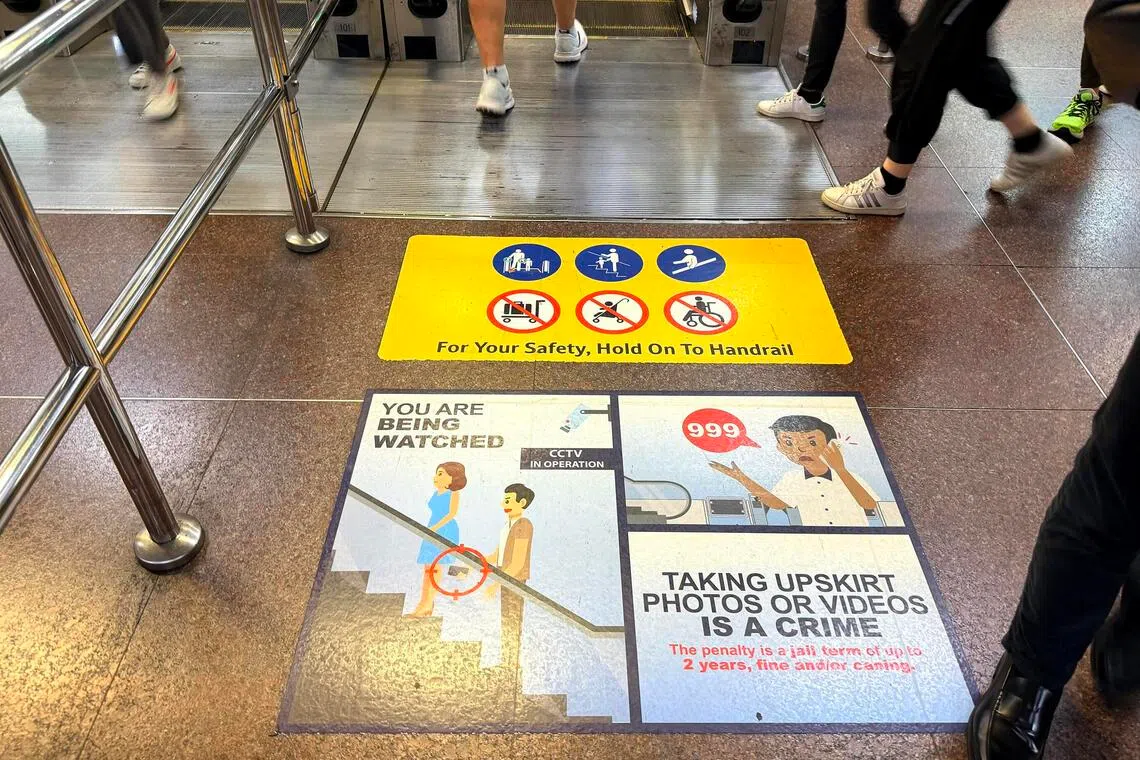 clmolest02 - 

Credit: Clara Lock