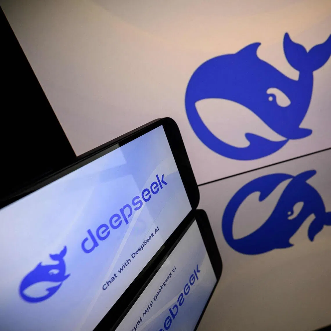 DeepSeek is hoping pricing, accessibility and sophisticated features will differentiate its models for next-generation developers and enterprise users.