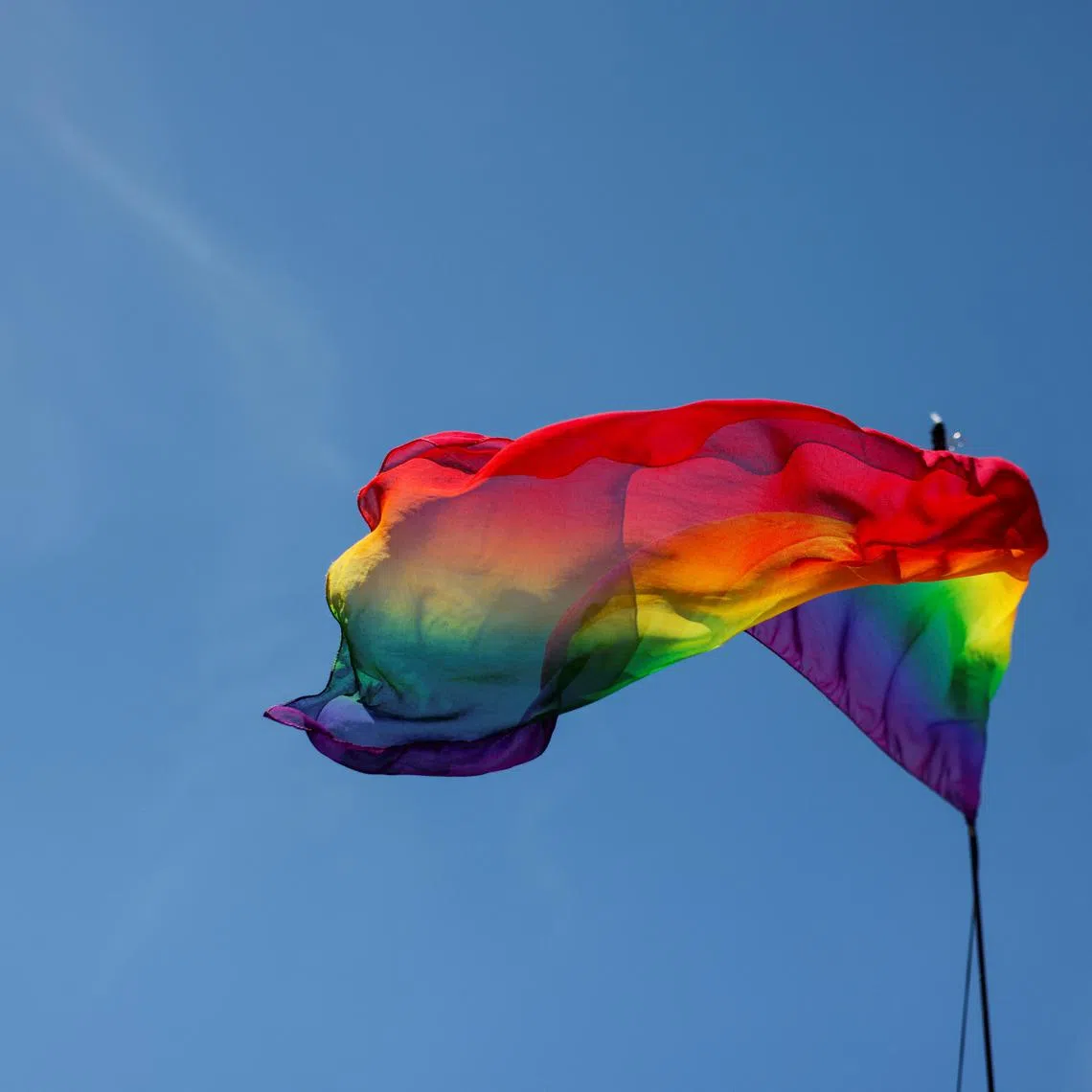 Japan is the only Group of Seven country that has not legalised same-sex marriage or civil unions. 