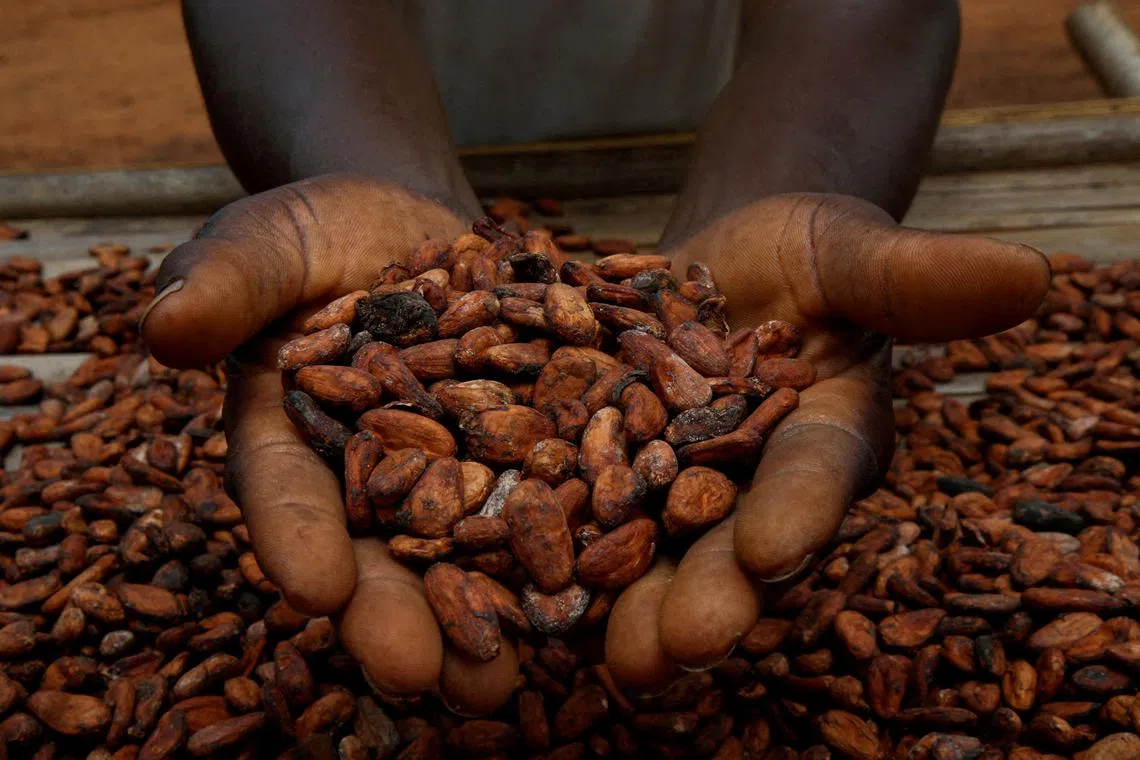 The Asia Pacific chocolate market is projected to reach close to US$37 billion (S$50 billion) in revenue by the end of 2030.