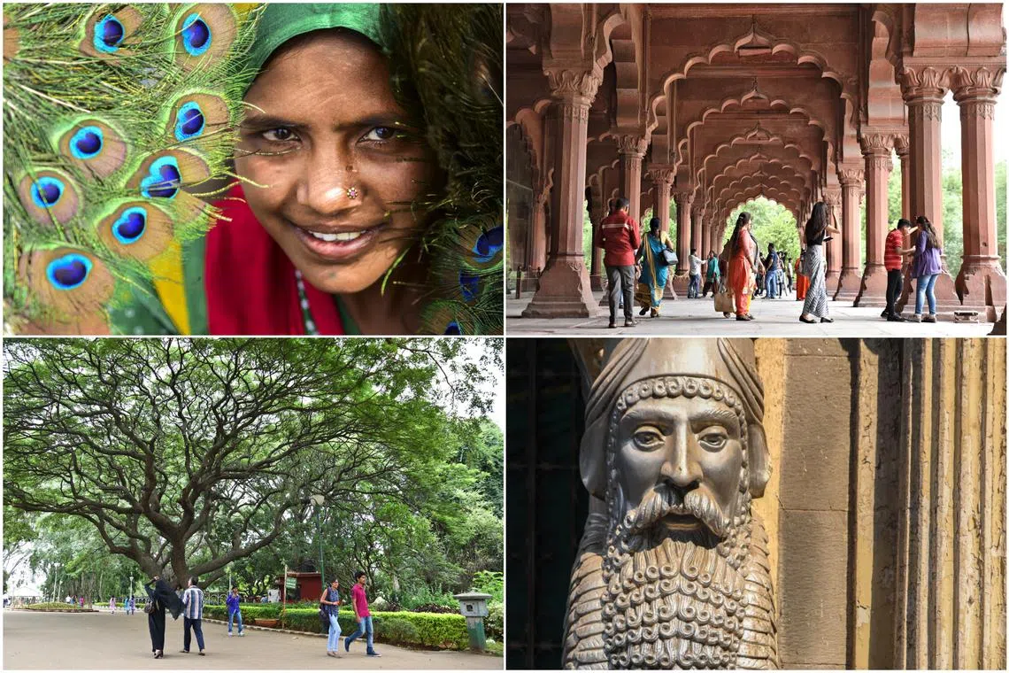 India’s streets are so colourful that exploring on foot can be very rewarding.