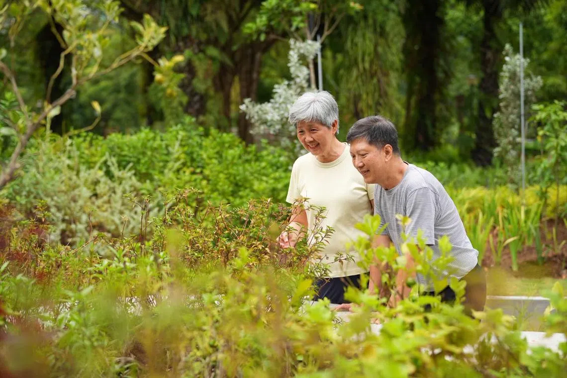 The new framework aims to help the public enjoy the health and well-being benefits of nature.