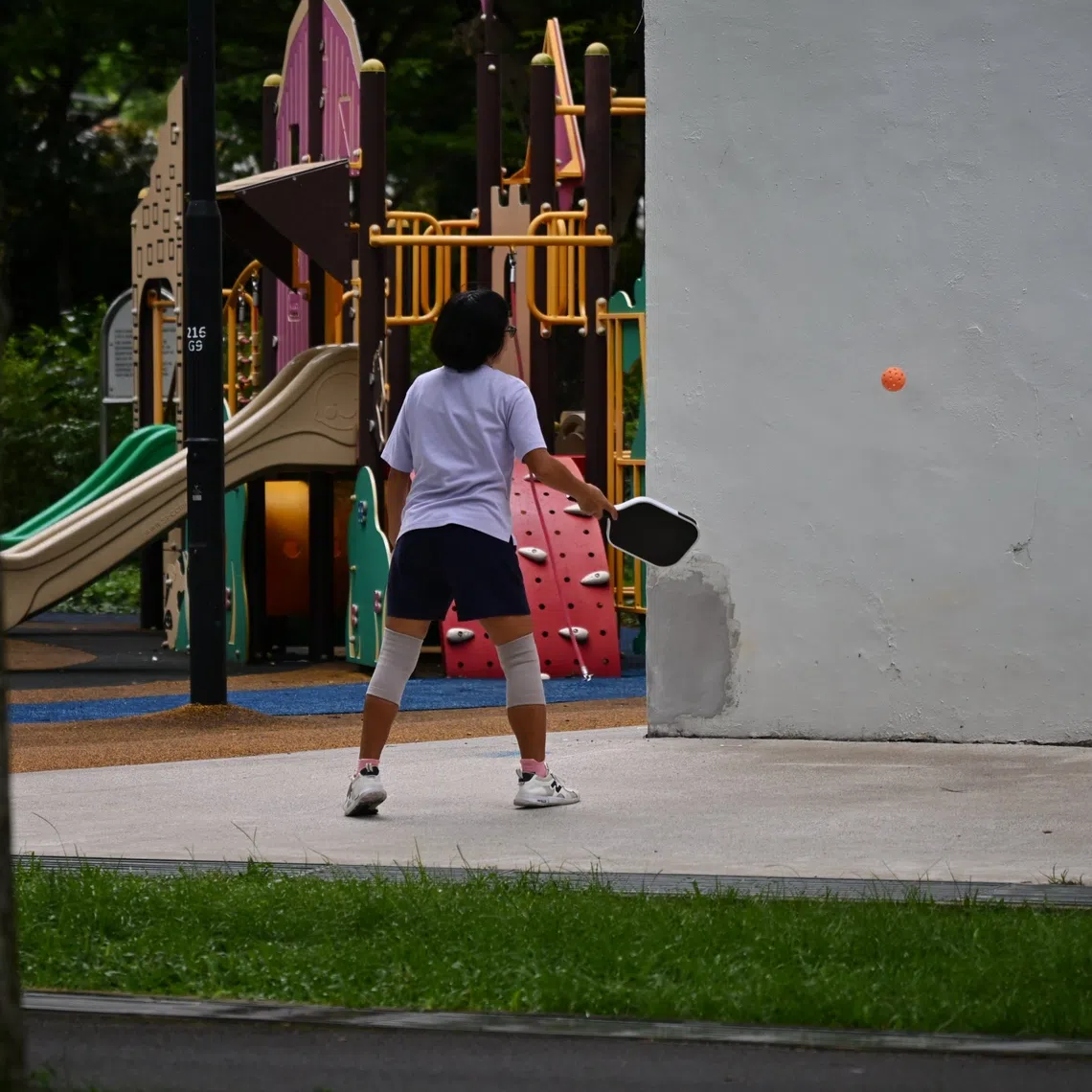 Community noise guidelines advise residents to observe quiet hours between 10.30pm and 7am.