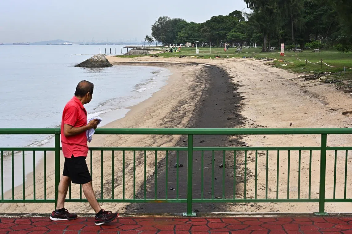 The oil spill along the shoreline of East Coast Park as seen from Bedok Jetty at about 10am on June 16.