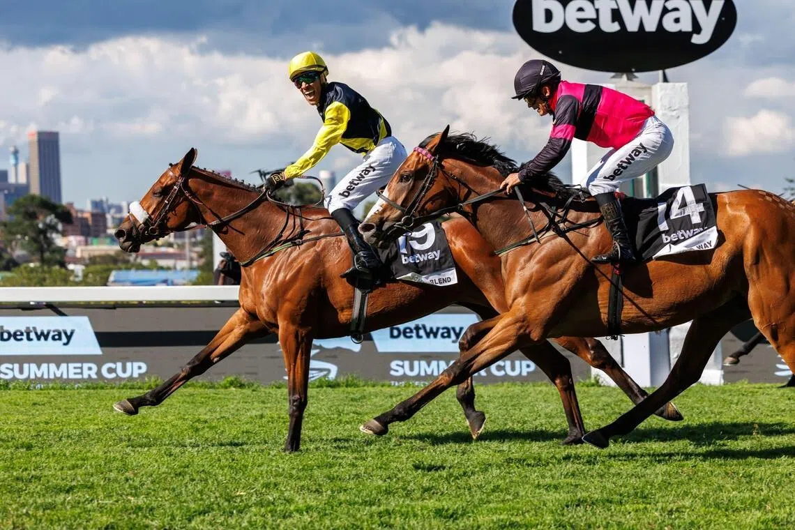 Horse racing: Jockey Tristan Godden yelling his delight as Mocha Blend holds off Olivia’s Way (Andrew Fortune) in a fairer sex 1-2 to South Africa's richest race, the Grade 1 Betway Summer Cup (2,000m) at Turffontein on Nov 29, 2025. The long shot handed both Godden and trainer Frank Robinson their first Grade 1 win.