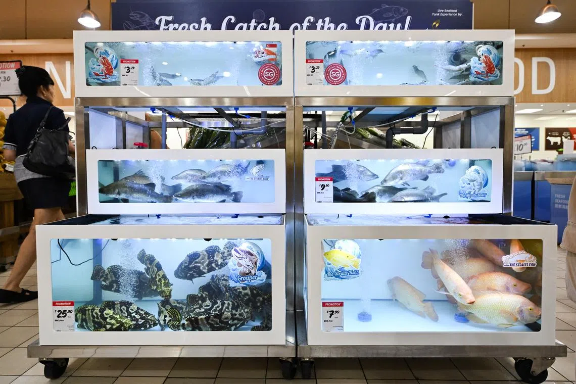 The launch comes amid efforts by retail markets here to support local farms and produce. 