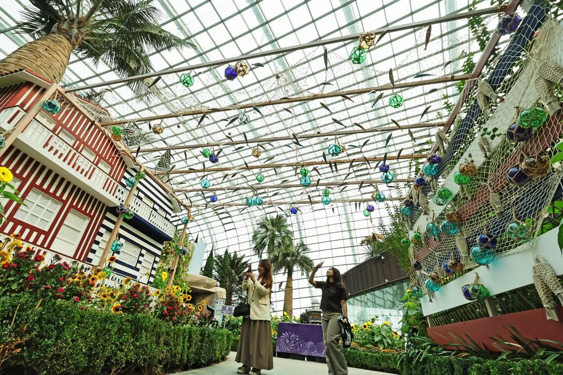 Sunflower display at Gardens by the Bay celebrates Portugal | The ...