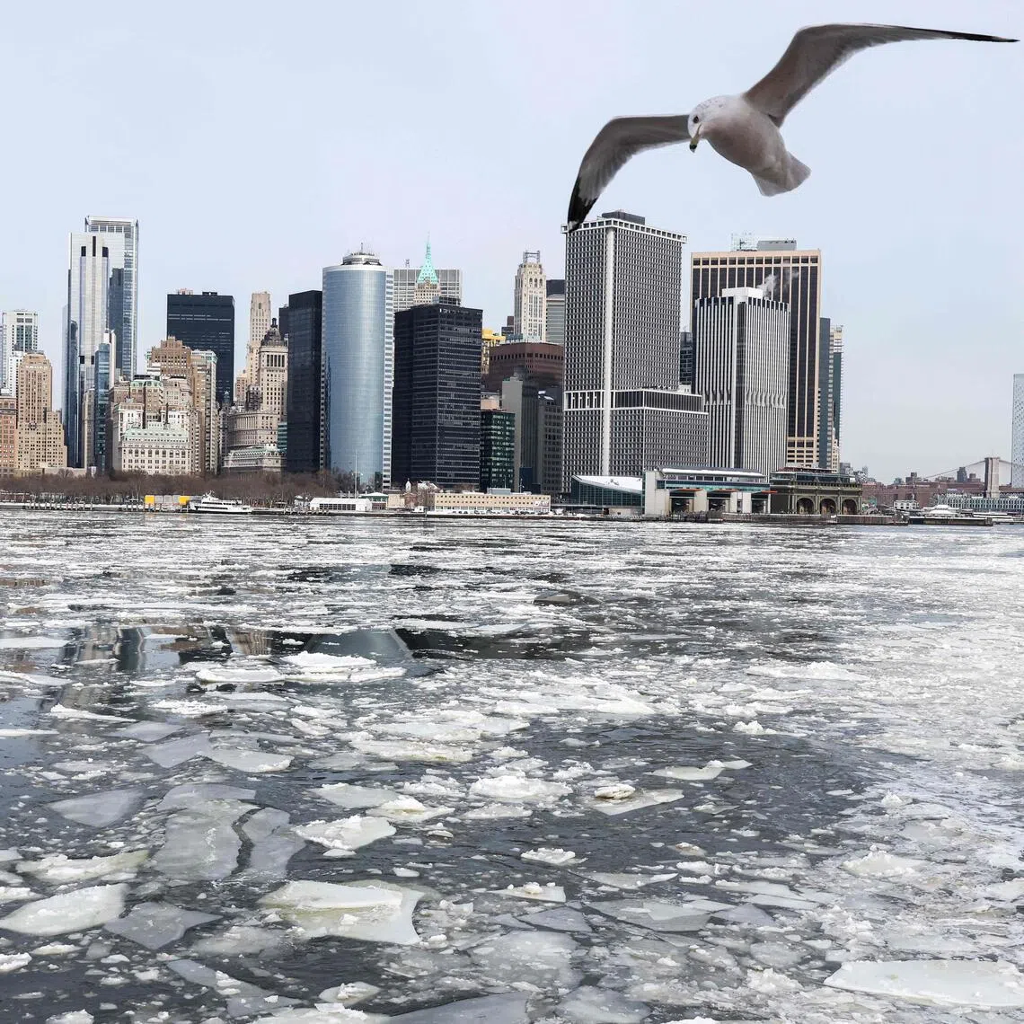 Temperatures are forecast to fall to -15 deg C late on Feb 7 in New York City.