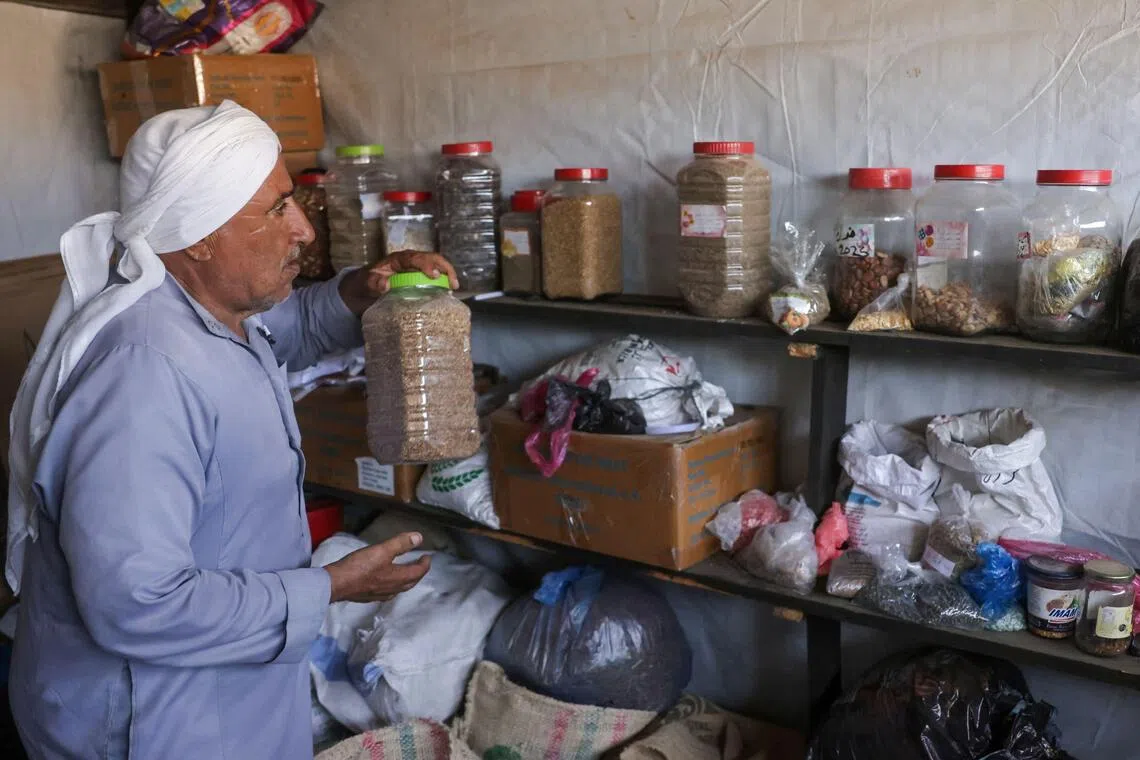 ‘Ray of hope’: Gaza seed bank rebuilds after wartime destruction