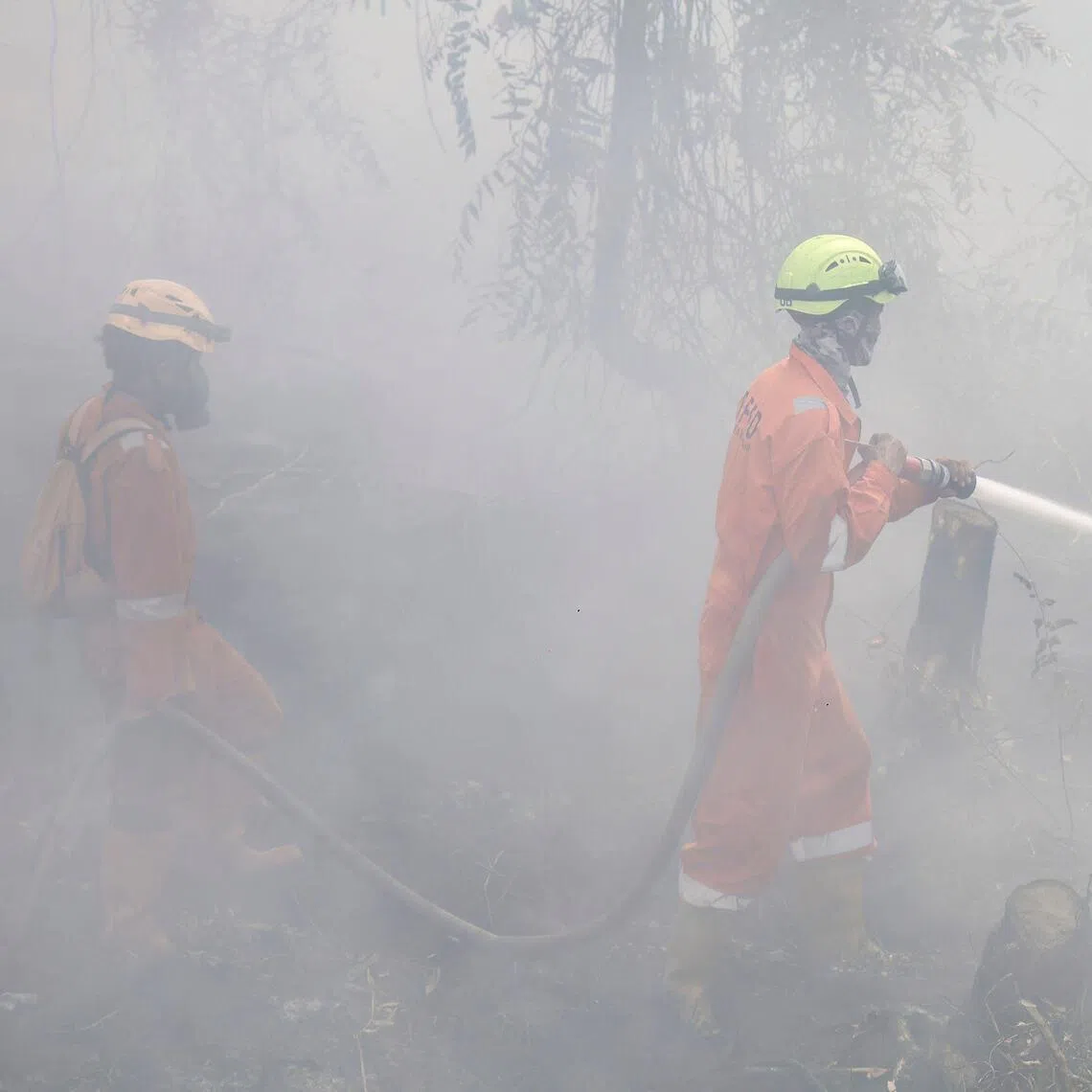 Firefighters extinguishing forest and land fires South Kalimantan on Sept 21.