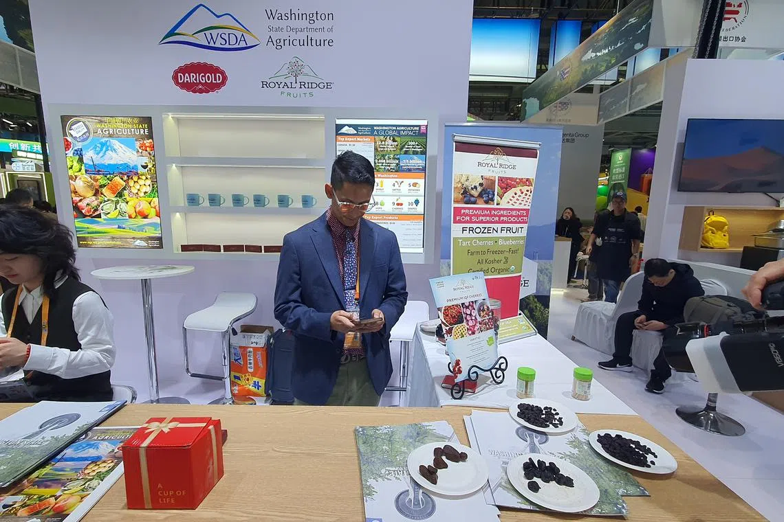 Mr Manuel Garibay, a sales manager at Royal Ridge Fruits, a Washington state cherry exporter, checking for US election updates at the China International Import Expo in Shanghai on Nov 6.