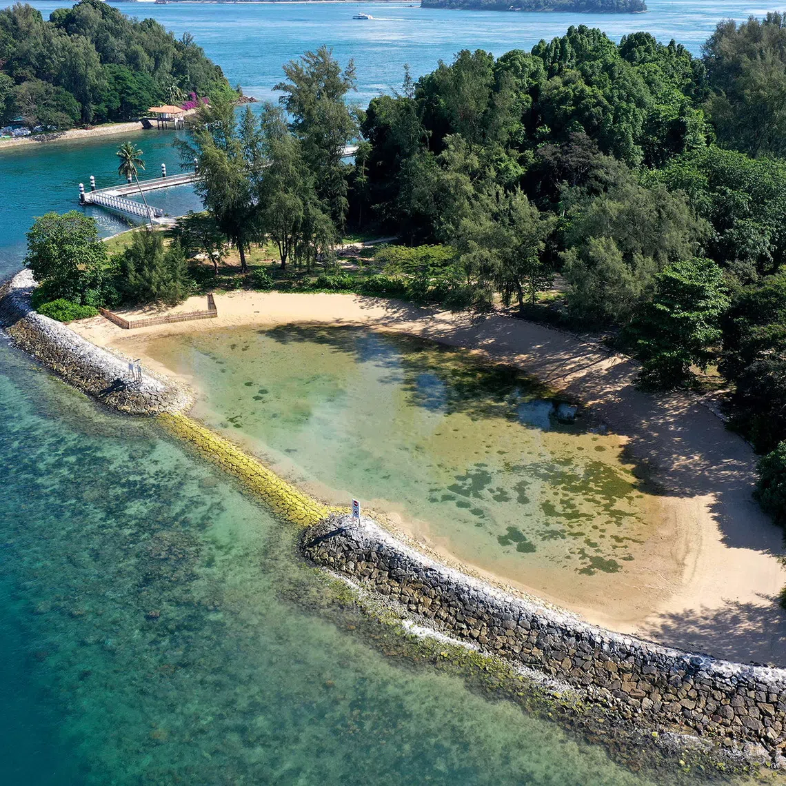 auhope26 - Aerial view of lagoon tidal pool (Credit - NParks)