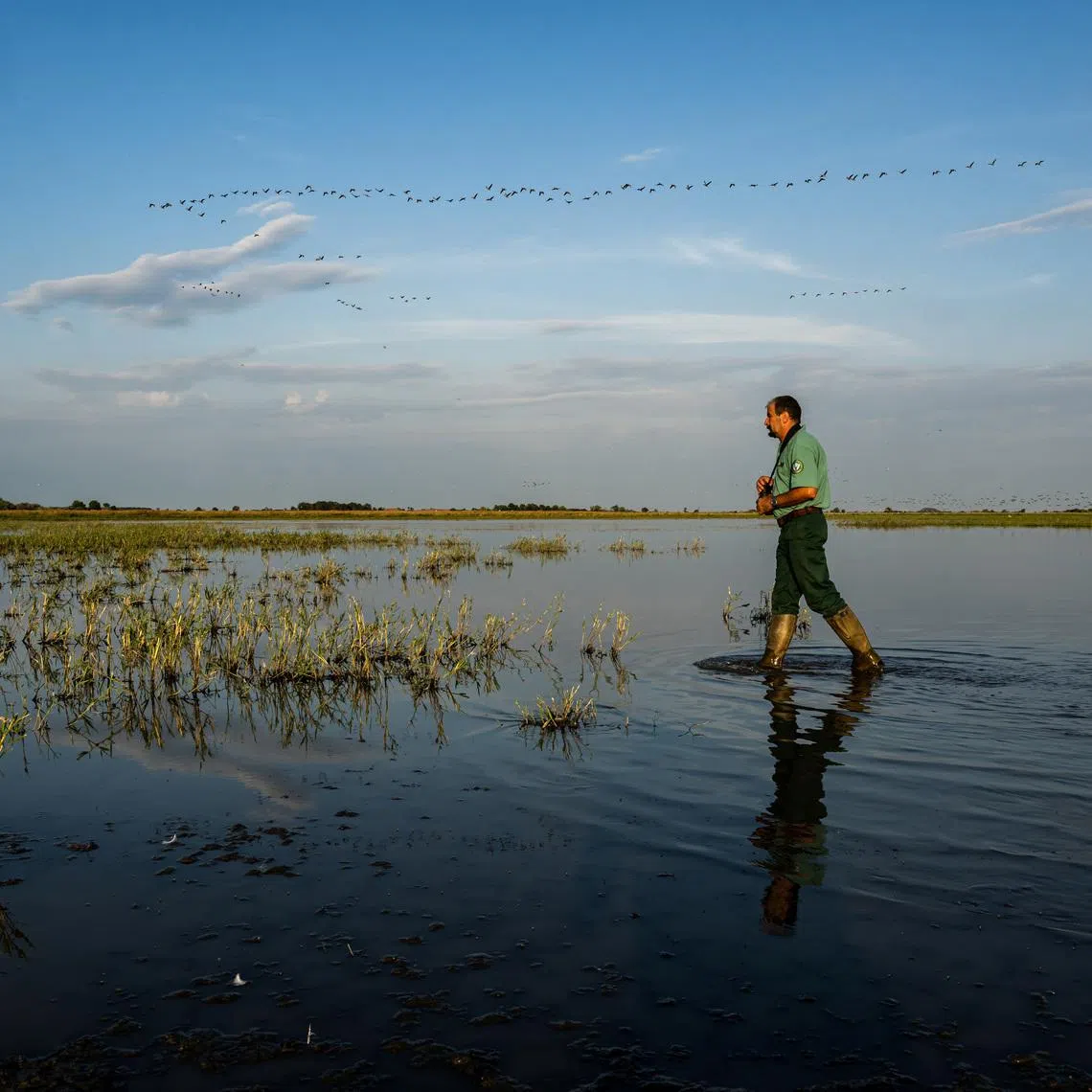 Lajos Gal, a regional unit manager at the Hortobagy National Park Directorate, walks through the flooded marshland in Hortobagy National Park near Tiszafured, Hungary, July 15, 2026. REUTERS/Marton Monus