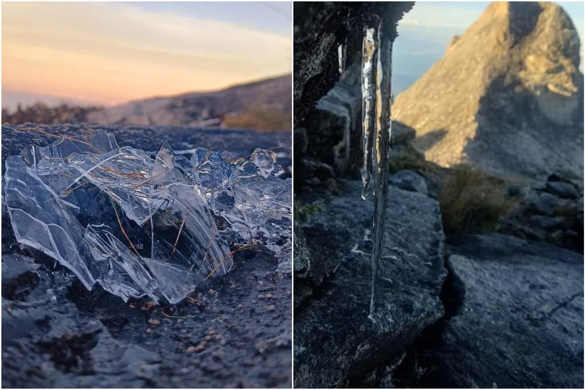 Sub-zero temperatures caused liquid on rocks and trees to freeze and subsequently form ice shards and icicles. 