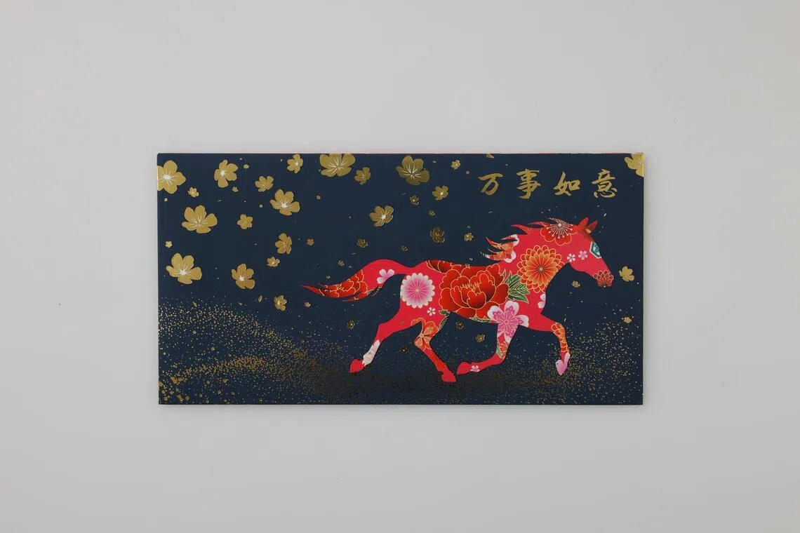 Pacote vermelho de Harvey Norman.