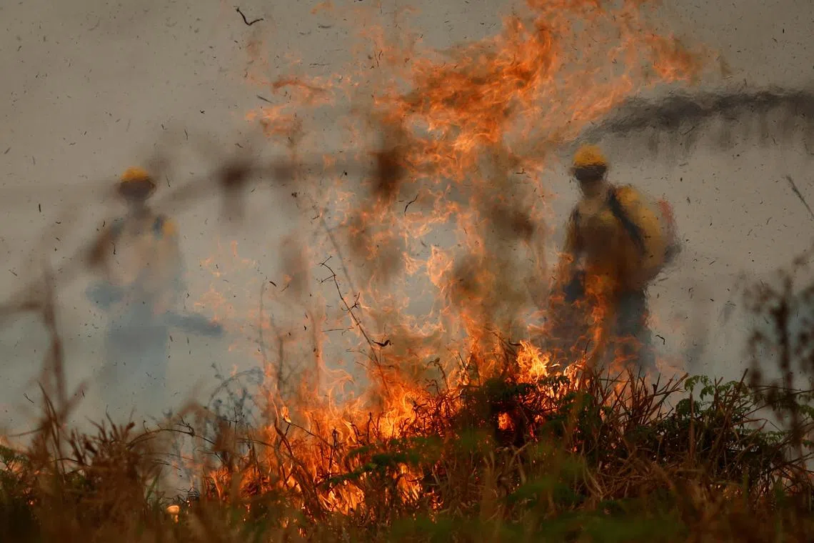 Members of Brazilian Institute for the Environment and Renewable Natural Resources (IBAMA) fire brigade work to extinguish a fire rising in Amazon rainforest in Apui, Amazonas state, Brazil, August 8, 2024. REUTERS/Adriano Machado