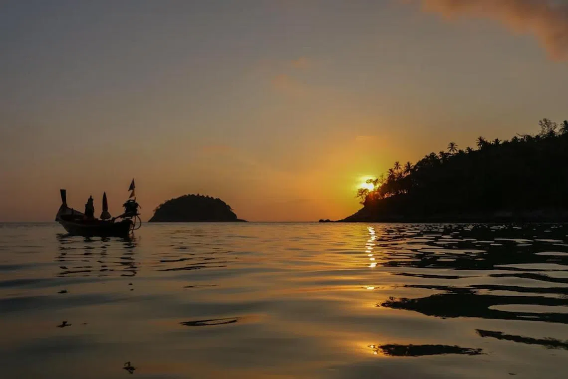 The warning was issued on Monday after more than 30 tourists complained of being stung near Phuket's Kata Beach last week.