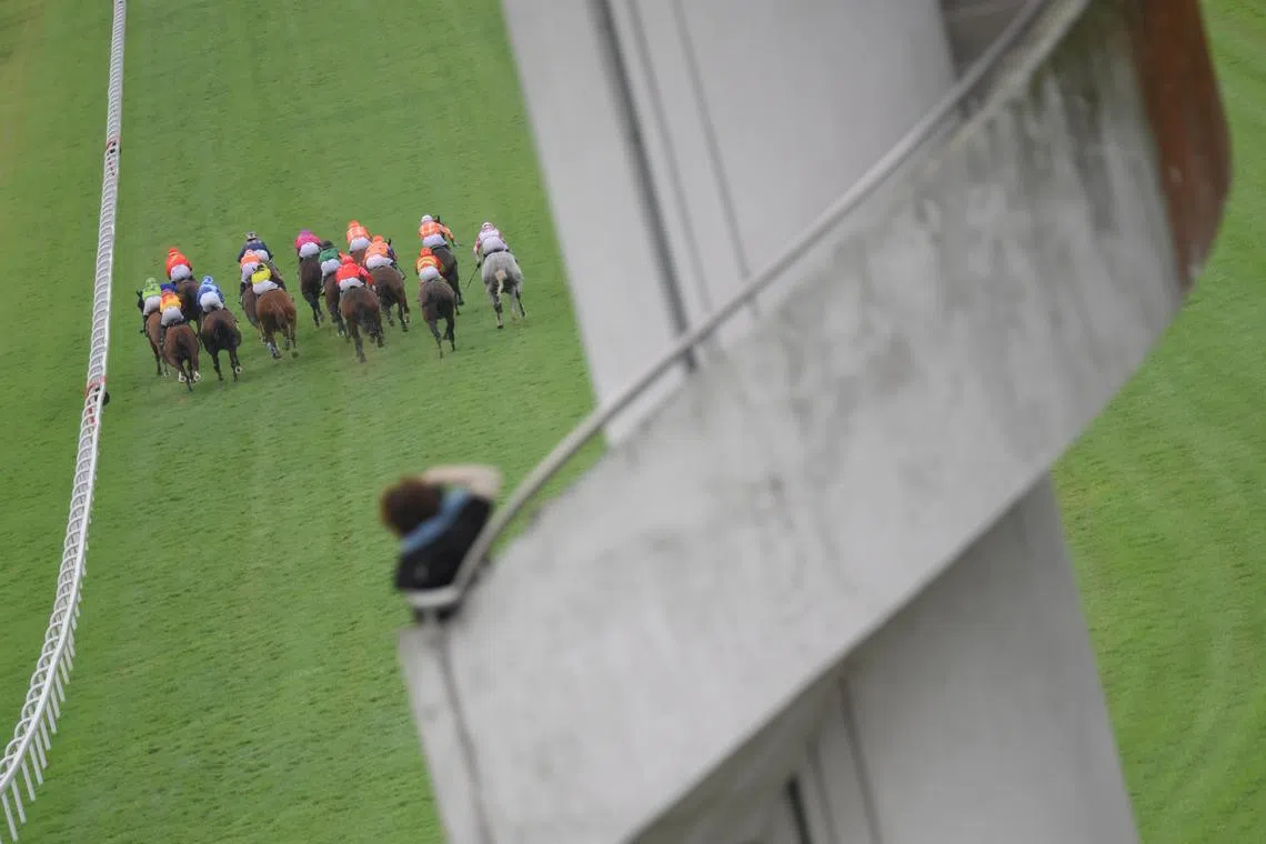 Jockeys with their horses challenging for the lead during the Yong Thau Yin Cup at the Singapore Turf Club during the last day of races on October 5, 2024.