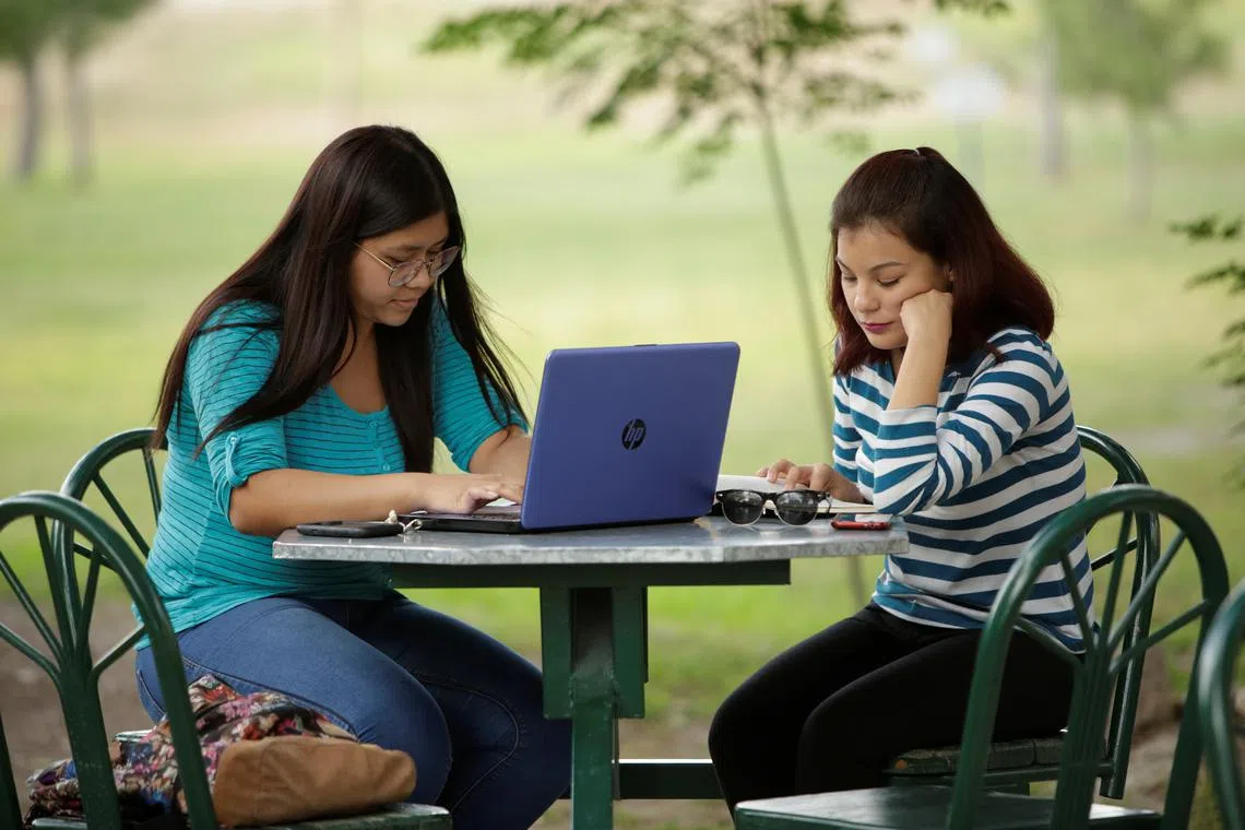 FILE PHOTO: A woman works on her computer at a coffee shop in Ciudad Juarez, October 19, 2017. Picture taken October 19, 2017. REUTERS/Jose Luis Gonzalez/File Photo