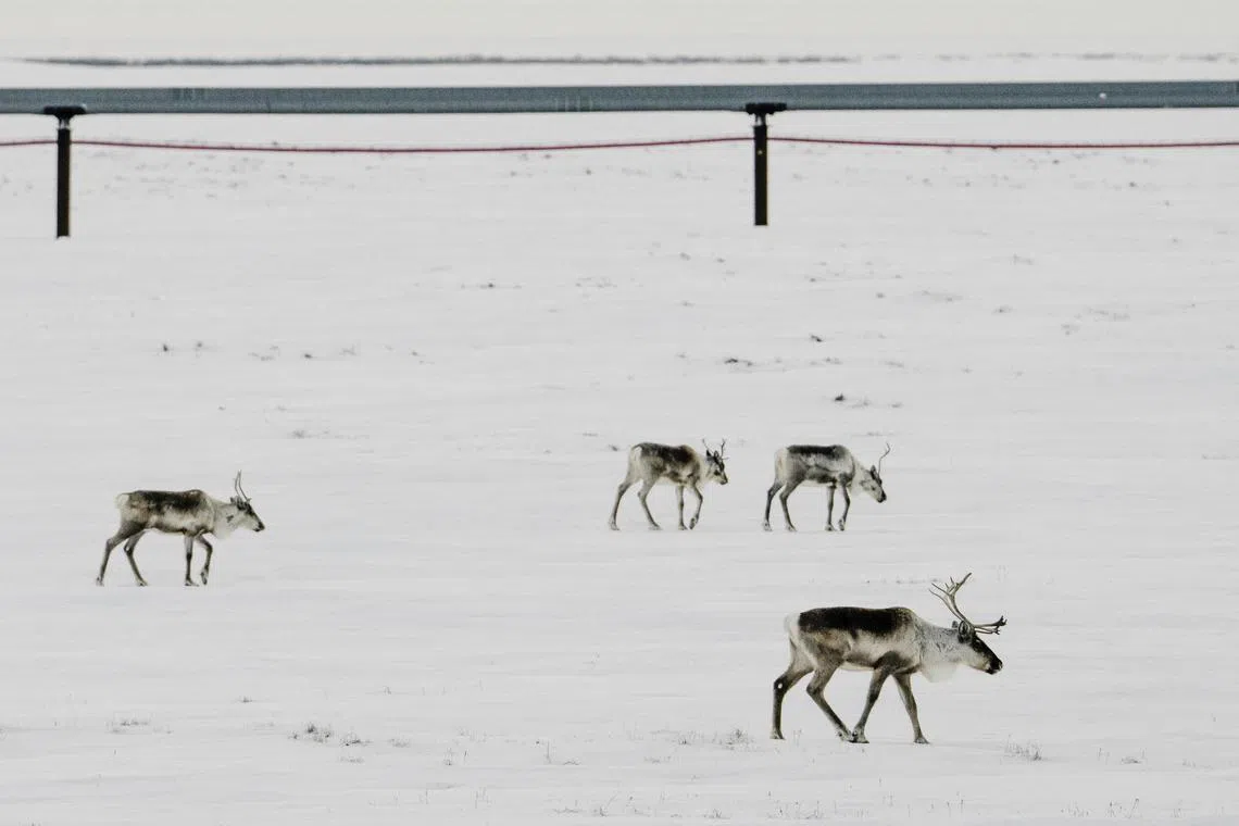 Seven leases were bought by an Alaskan state development agency in the final days of the Trump administration.