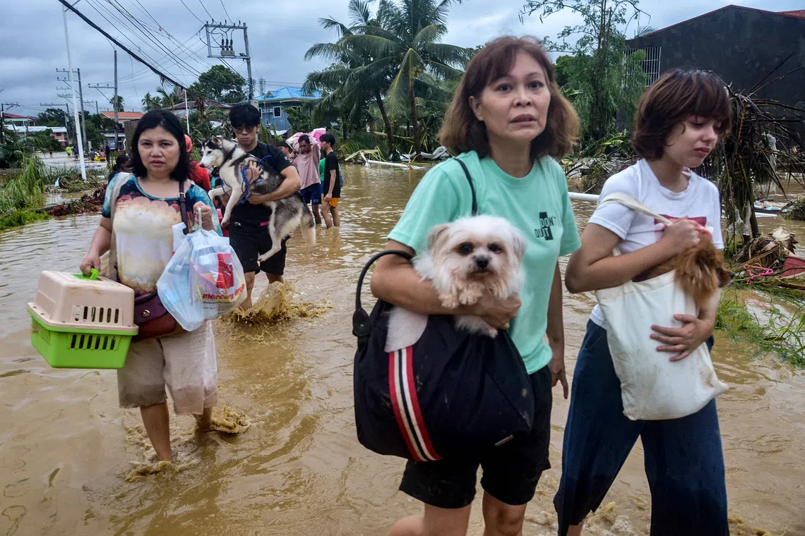 Residents carrying their belongings and pet dogs wade through a flooded street as they evacuate from their inundated homes in Liloan town, Cebu, on Nov, 2025, after Typhoon Kalmaegi hit overnight. 