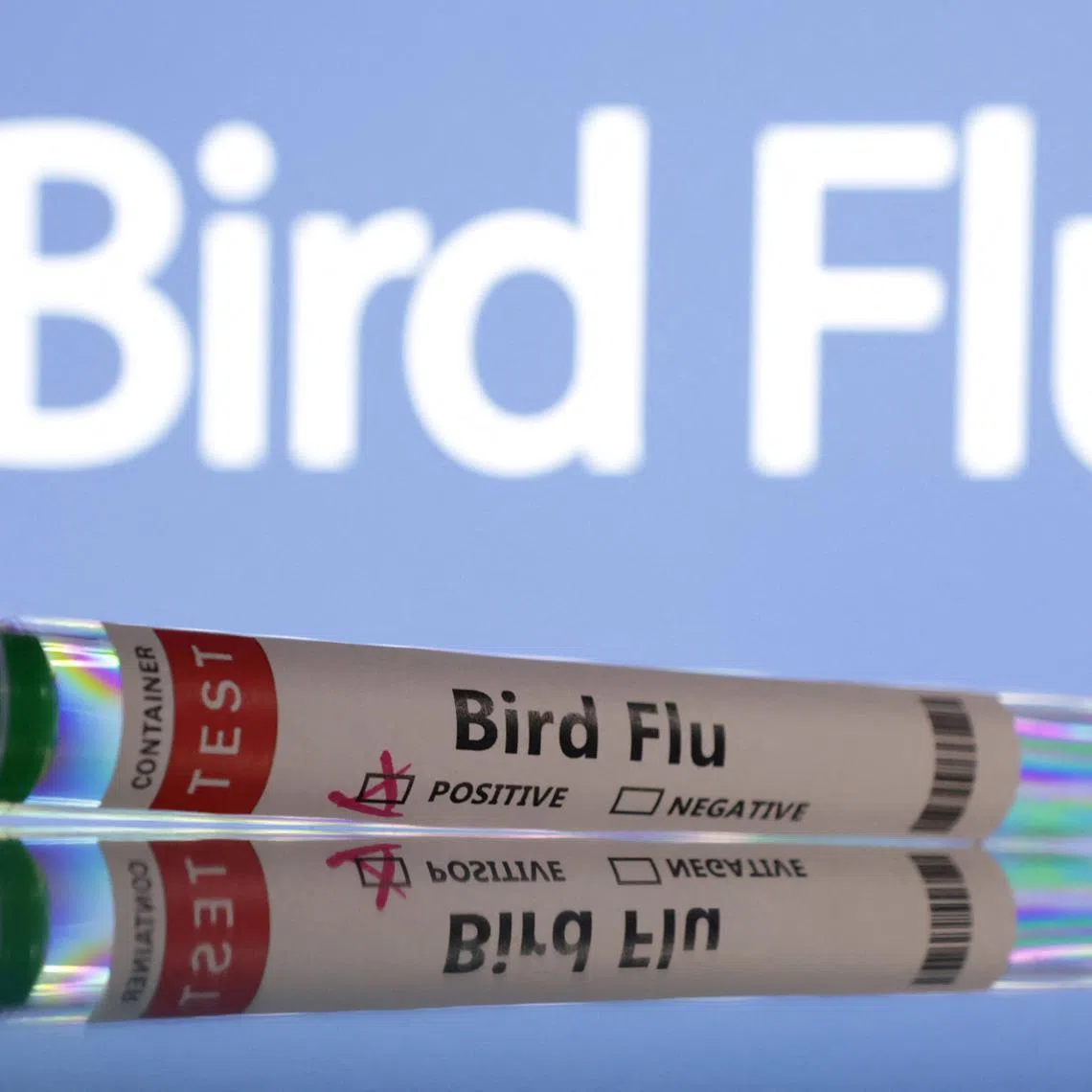 FILE PHOTO: Test tubes are seen labelled \"Bird Flu\" words in this illustration taken, June 10, 2024. REUTERS/Dado Ruvic/Illustration/File Photo